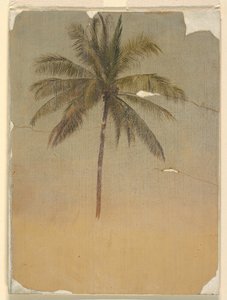 Palmun runko ja latva tekijältä Frederic Edwin Church