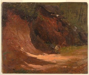 Woodland Bank, Jamaika tekijältä Frederic Edwin Church