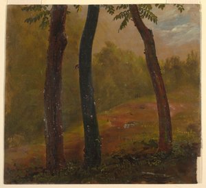 Woodland Scene, Jamaika tekijältä Frederic Edwin Church