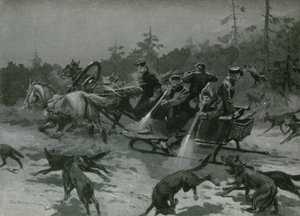 Suden metsästys tekijältä Frederic de Haenen