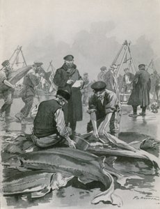 Caviaren hankinta Astrakhanissa tekijältä Frederic de Haenen