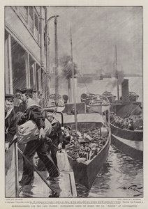 Vahvistuksia Cape Stationille, Bluejacketit menevät SS Britonin kyytiin Southamptonissa tekijältä Frederic de Haenen