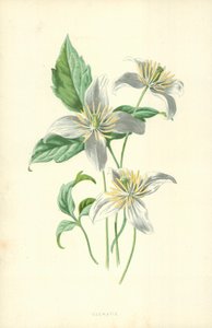 Elämänlanka tekijältä Frederick Edward Hulme