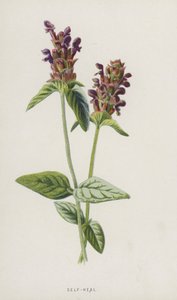 Itseparannus (kromoliitti) tekijältä Frederick Edward Hulme