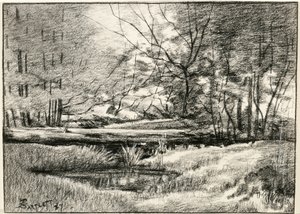 Uima-allas Adirondacksissa tekijältä Frederick Eugene Bartlett