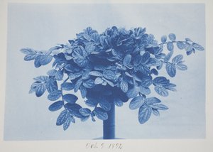 Nimetön, 9. lokakuuta tekijältä Frederick K. Coulson