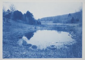 Nimetön, 1800-luvun loppu – 1900-luvun alku (syanotypia kermanvärisellä paperilla)
