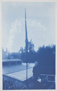 Nimetön, 1800-luvun loppu – 1900-luvun alku (syanotypia kermanvärisellä paperilla)