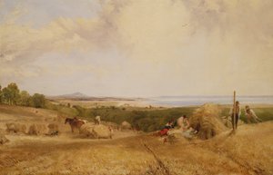 Sadonkorjuupelto, 1846