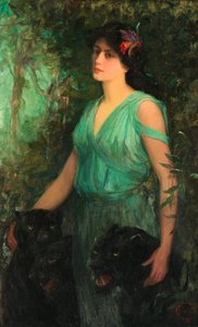 Musta orkidea, 1907.