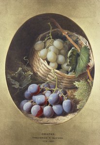 Punaiset ja valkoiset viinirypäleet tekijältä Frederick Thomas Baynes