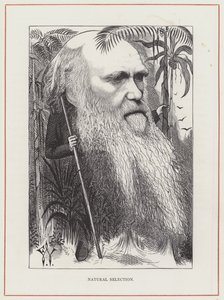 Charles Darwin, luonnonvalinta