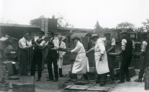 20 jalkaa pitkä Python, jota kantoi yksitoista Zoological Societyn henkilökunnan jäsentä, Lontoon eläintarha, kesäkuu 1925 tekijältä Frederick William Bond