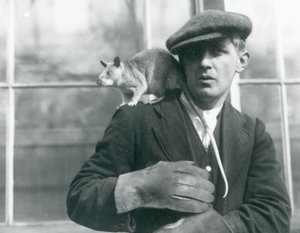 Madagaskarin jättiläisrotta istuu pitäjän, Lontoon eläintarhan, olkapäällä tekijältä Frederick William Bond