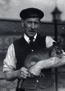 Vartija pitää hallabyä, lokakuu 1920 (m/v kuva) tekijältä Frederick William Bond