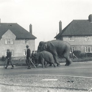 Intiaaninorsupari kävelemässä Tilburystä ZSL Whipsnadeen tekijältä Frederick William Bond