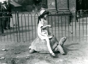 Pieni tyttö, Betty, ojentaa kepin, jonka päässä on omena, johtaakseen jättikilpikonnaa, jolla hän ratsastaa, Lontoon eläintarha, 1924 tekijältä Frederick William Bond