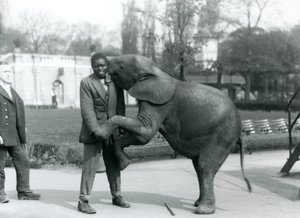 Nuori afrikkalainen kääpiöelefantti seisoo takajaloillaan ja halaa afrikkalaista kouluttajaansa, kun eläintenhoitaja katsoo vierestä, Lontoon eläintarha, heinäkuu 1925. tekijältä Frederick William Bond