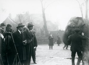 Intiaanielefantti, mahdollisesti Sundermalah, osallistumassa ulkoiseen lähetykseen Lontoon eläintarhasta, 1925 tekijältä Frederick William Bond