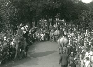 Elephant Rides, jossa kolme aasialaista norsua katselivat katselijajoukot Lontoon eläintarhassa elokuussa 1926 (m/v kuva) tekijältä Frederick William Bond