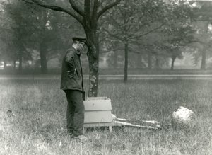 Keeper Brown siirtää mehiläisparveen Lontoon eläintarhassa heinäkuussa 1926 tekijältä Frederick William Bond