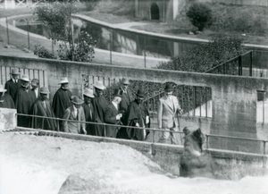 Sir Peter Chalmers Mitchell etiopialaisen valtionhoitajan Haile Selassien ja hänen seurueensa kanssa katselemassa ruskeakarhua Mappin Terracesilla Lontoon eläintarhassa, 1924 tekijältä Frederick William Bond