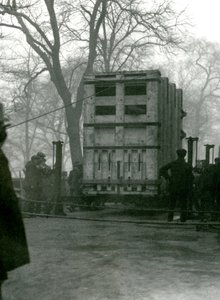 Naaras Aasiannorsu Lukhi kuljettamassa puulaatikossa Lontoon eläintarhassa, 1923 tekijältä Frederick William Bond