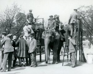 Vierailijat jonottavat norsuratsastukseen, kun muut nousevat kyytiin viiden hoitajan avustuksella, Lontoon eläintarha, 1927. tekijältä Frederick William Bond