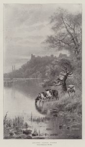 Arundelin linna, Sussex