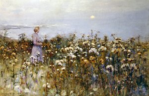 Kesäaurinko