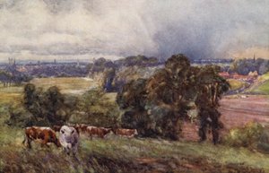 Leamington ja Warwick Campion Hillsistä