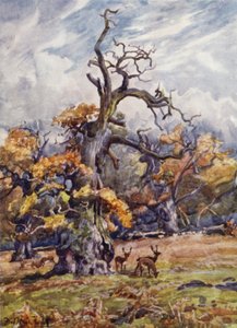 Packington Park tekijältä Frederick William Newton Whitehead