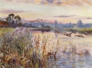 Salford Priors tekijältä Frederick William Newton Whitehead