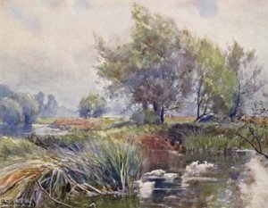 Avon, Stratford-on-Avonin alapuolella