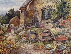Winderton tekijältä Frederick William Newton Whitehead