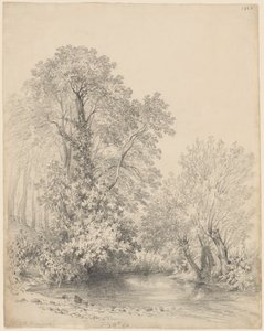 Puut joen rannalla Bromwichin linnassa tekijältä Frederick William Watts