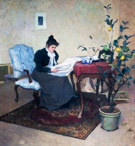  tekijältä Frederico Boccardo