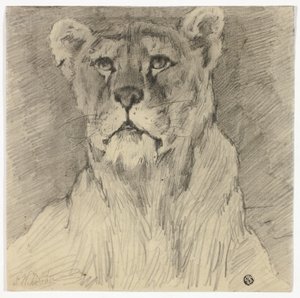 Istuvan leijonattaren etukuva tekijältä Frederik William Zurcher