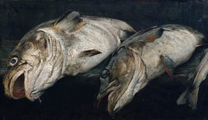 Turska tekijältä Fredrik Kolstoe