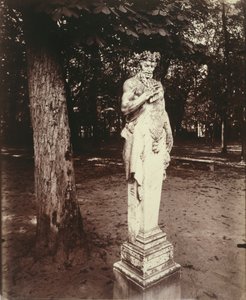 Versailles-Faun tekijältä Eugène Atget