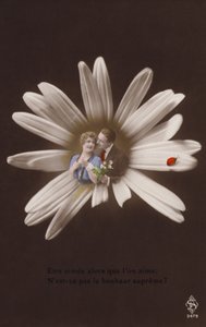 Nuori pariskunta kukan keskellä leppäkertun kanssa (sävytetty valokuvakollaasi) tekijältä French Photographer