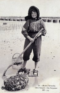 Arcachonin allas: osterinpartiointikone - postikortti tekijältä French Photographer