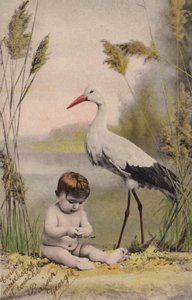 Vauva haikara kanssa tekijältä French Photographer