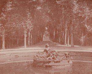 Basin of Flora, Versailles Park (m/w kuva) tekijältä French Photographer