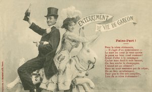 Pari karnevaalimatkalla (m/w kuva) tekijältä French Photographer