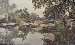 Fontainebleau, Metsä, Mare de Franchard tekijältä French Photographer
