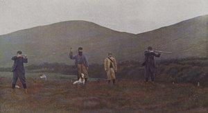 Metsän ammunta Skotlannissa (värikuva) tekijältä French Photographer