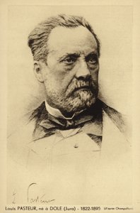 Louis Pasteur (1822-1895), ranskalainen kemisti ja mikrobiologi tekijältä French Photographer
