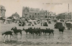 Mers - osa rantaa. Postikortti lähetetty 1913. tekijältä French Photographer
