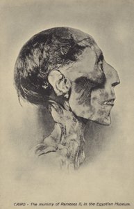 Ramses II:n muumio tekijältä French Photographer